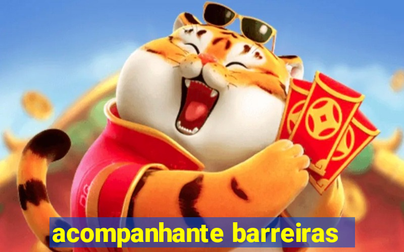 acompanhante barreiras